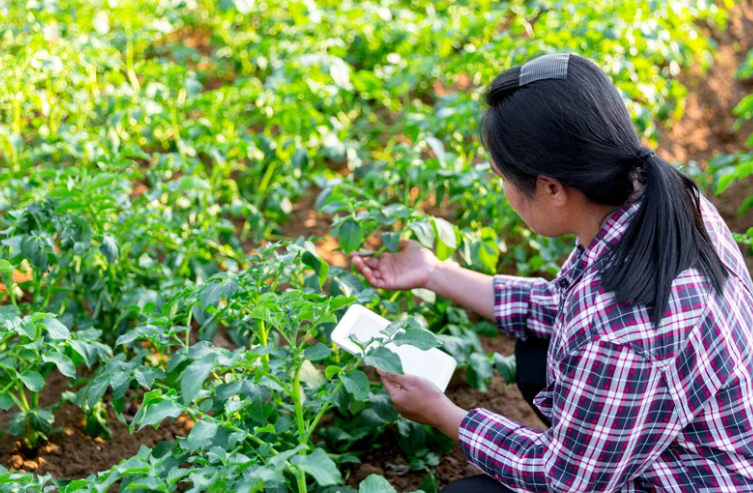 Drones na agricultura